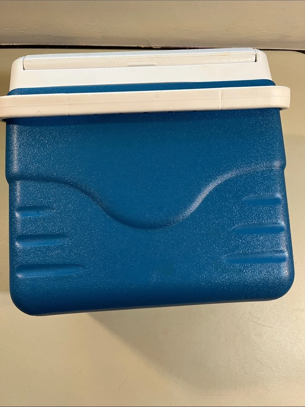 Coleman Blue and White Personal Chiller Cooler